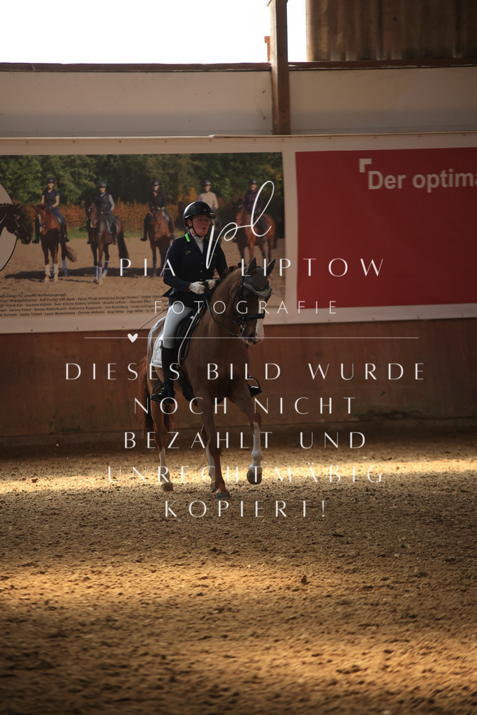 IMGT3468 | pl-fotografie