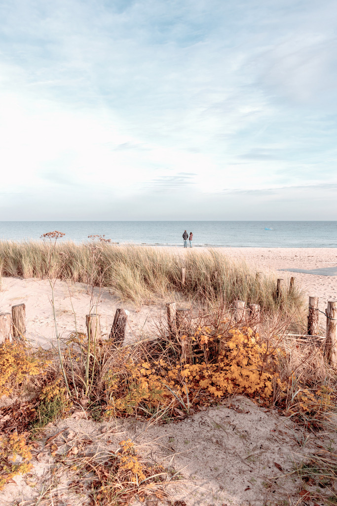 Wandbild: Sandstrand, Strandhafer und Blick aufs Meer | Dieses Wandbild im Hochformat zeigt einen Sandfang bewachsen mit Strandhafer und Heckenrosen in dezenten Farben. In der Ferne direkt am Meer stehen zwei Spaziergänger. Der Himmel ist blau mit leichter weißer Bewölkung. Schaffen Sie sich ein maritimes Ambiente in Ihrem Wohnzimmer und kaufen Sie sich dieses stilvolle Wandbild. Es ist auf Leinwand, Aluminium-Platte, Acrylglas oder als Holzdruck erhältlich. Die Wandbilder werden individuell für Sie in vielen Abmessungen produziert. Daher passen die Ostseekult Wandbilder immer perfekt an Ihre Wände. - Realisiert mit Pictrs.com