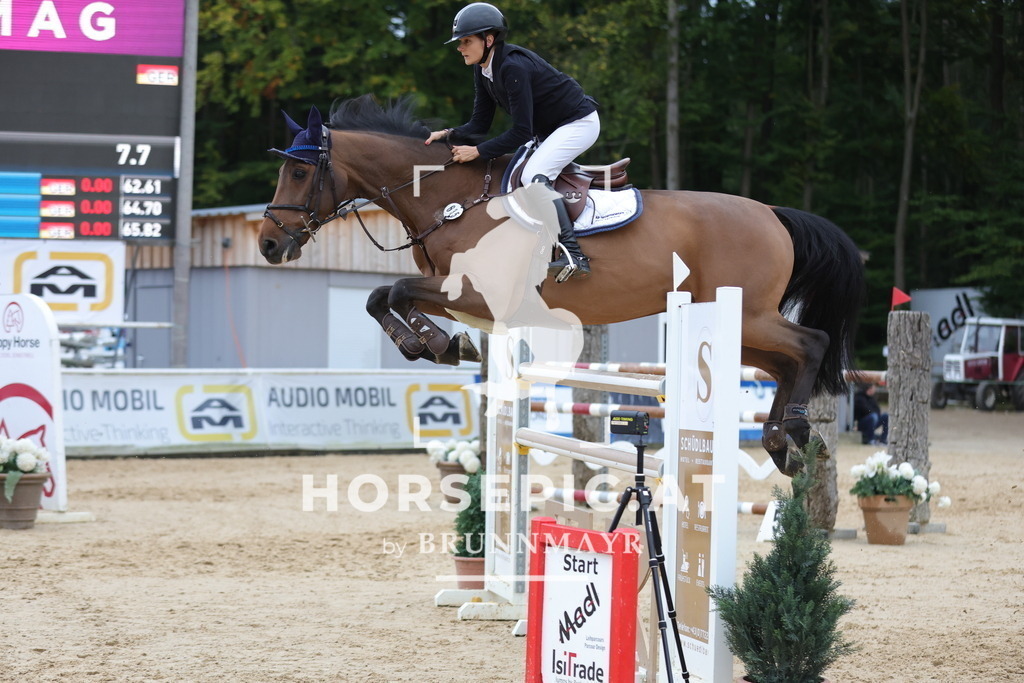 0P6A4487 | Willkommen bei Brunnmayr - Design & Fotografie – Ihrem Spezialisten für Reitturniere und Pferdeveranstaltungen in Oberösterreich, Salzburg und Bayern! Seit über 17 Jahren sind wir leidenschaftlich dabei.