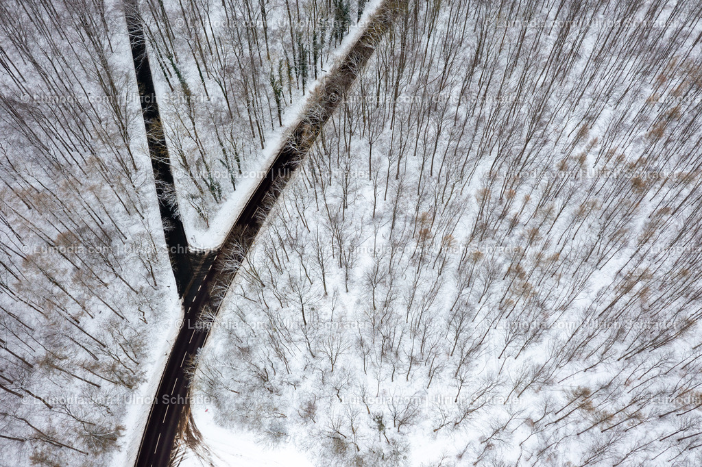 10049-52082 - Winter im Huy | Stockfoto und Bilderpool mit Bildmaterial aus Deutschland, dem Harz, Halberstadt, Quedlinburg, Wernigerode und weltweit. Qualitativ hochwertige und professionelle Fotos anschauen und kaufen. - Realisiert mit Pictrs.com