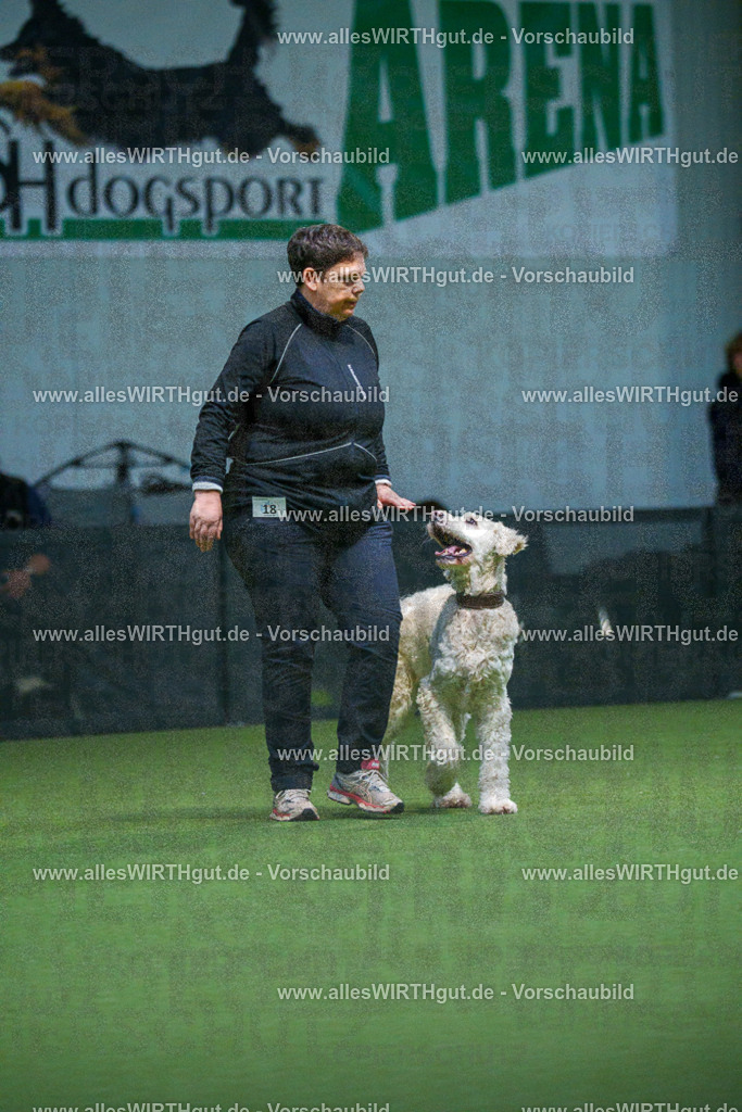 7R500774 | Professionelle Tierfotografie in Mönchengladbach von Daniel Wirth (allesWIRTHgut). Liebevolle & natürliche Bilder von Hunden & Katzen für unvergessliche Erinnerungen.