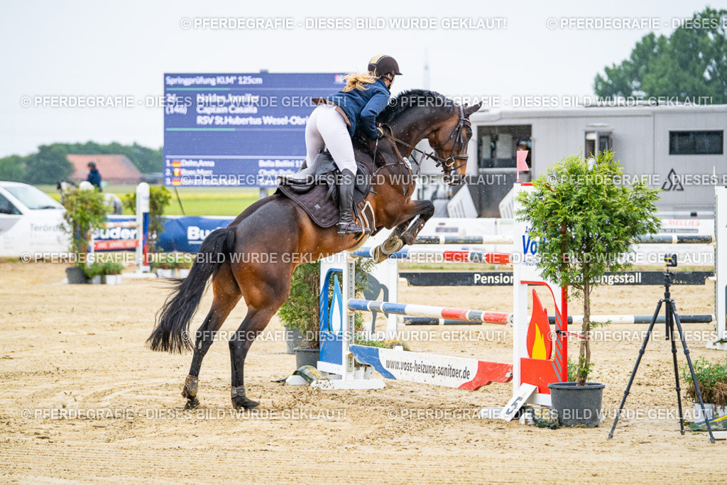 DSC07723 | Pferdegrafie