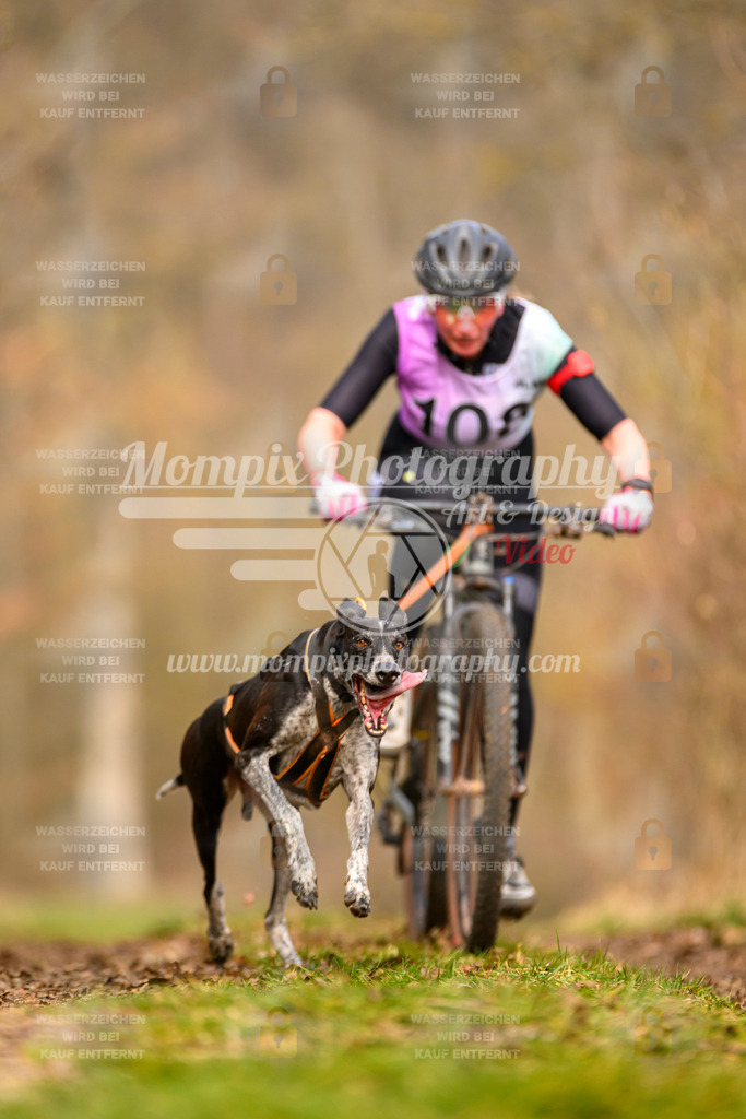 MompixPhotography_Schwabentrail2024_Bike-68 | PayLife