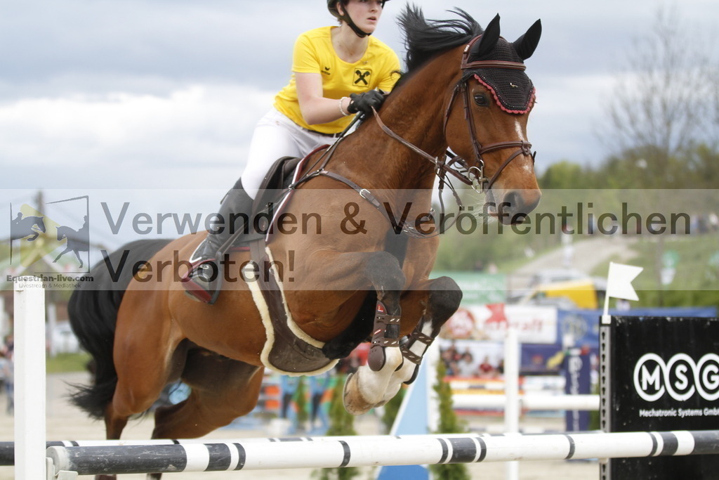 _MG_7718 | equestrian-live-com
