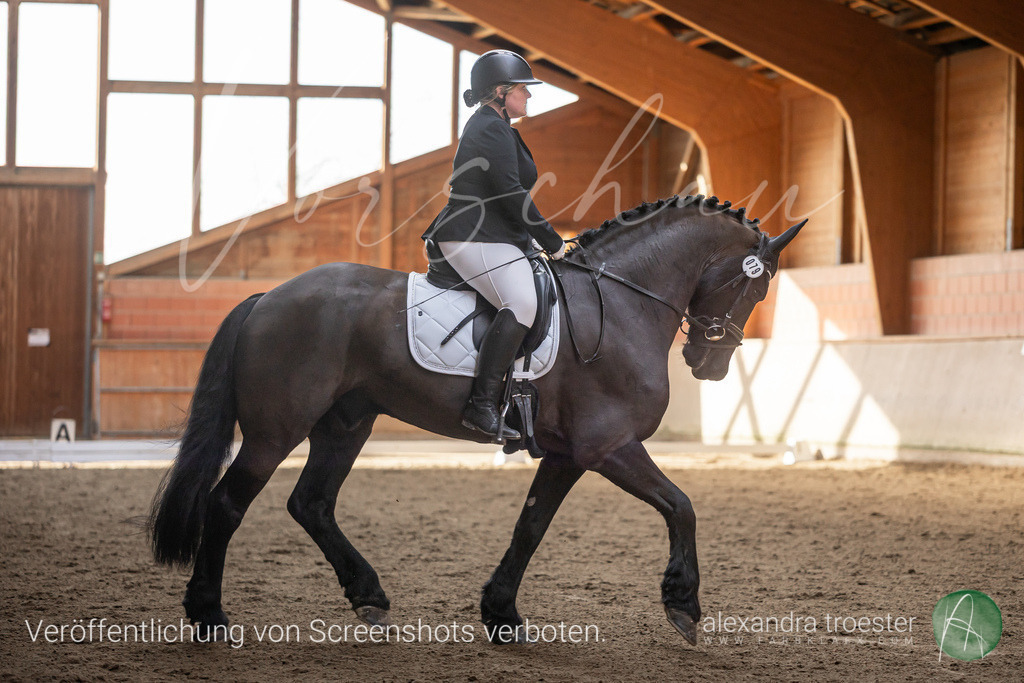 250405_Barop_07_186 | farbklaex.com