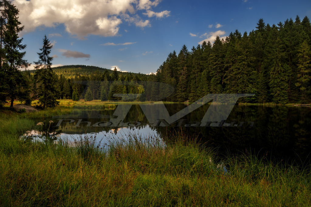 Spiegelung im Fichtelsee  | Sommer am Fichtelsee in Oberfranken. - Realisiert mit Pictrs.com