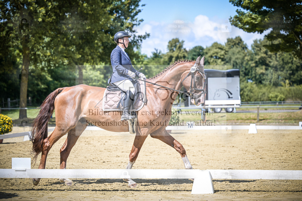 DOS_5131 | Entdecke hochwertige Reitturnierfotos von Foto Oger. Professionell, emotional und authentisch – jetzt Lieblingsmomente im Shop bestellen. - Realisiert mit Pictrs.com