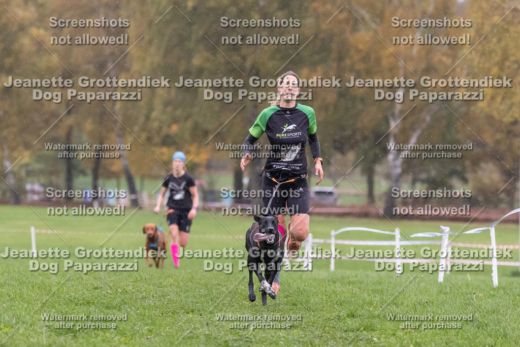 Dog Paparazzi - SD CaniX Championship 2025-975 | Dog Paparazzi Jeanette Grottendiek Fotografie & Videografie - Realisiert mit Pictrs.com