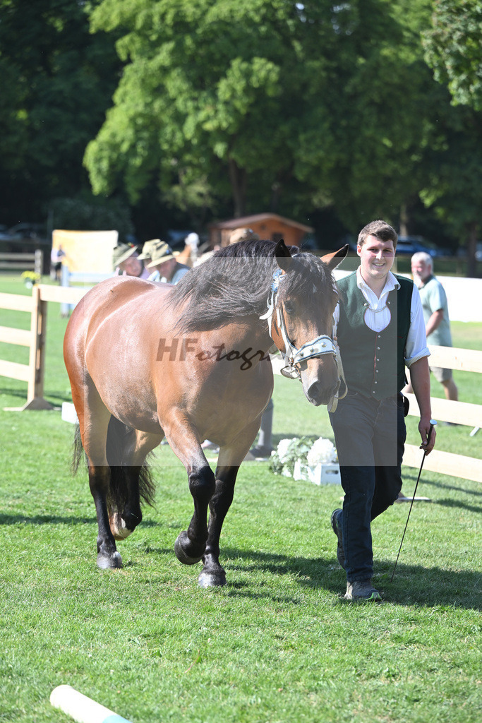 Kat-Nr. 8 Perle_Willand_20230103 | hf-fotografie - Realisiert mit Pictrs.com