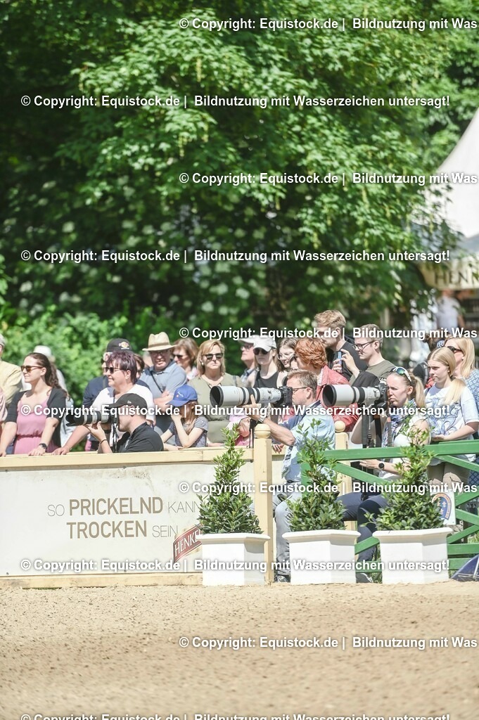 D78_2917 | equistock