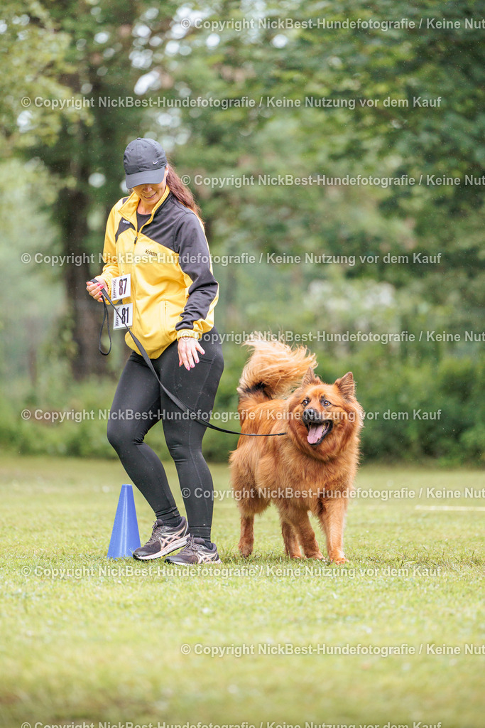 RO-Blumenthal-2026-Nickbest-Hundefotografie-3623 | Dein Hund! Dein Moment! Deine Erinnerungen! Hundefotografie in Bremen Blumenthal. Ich fange die besonderen Momente deines Vierbeiners ein – ob Indoor mit Blitzanlage oder in der freien Natur. Sicher dir dein Moment und dein Termin für eure Erinnerungen.