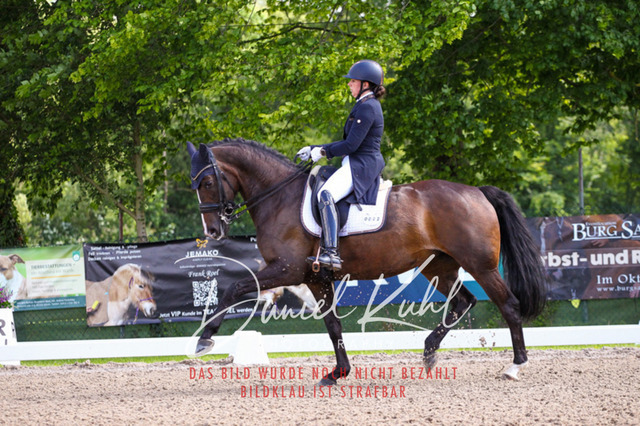 DKP41363 | Turnierfotos kaufen im Webshop von Daniel Kuhl Photography – entdecke professionelle Reitsportfotos aus Turnieren & Events. Hochwertige Turnierbilder online bestellen & sichern. Jetzt Fotos von Reitsportturnieren kaufen!