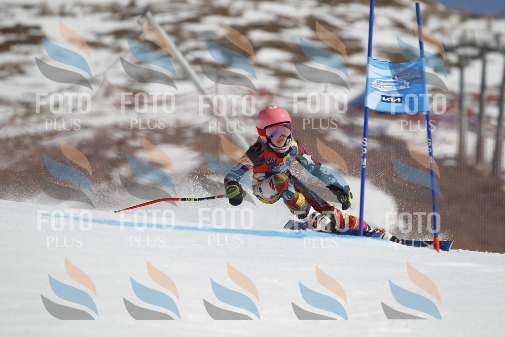 _U3G9281 | holidayphoto