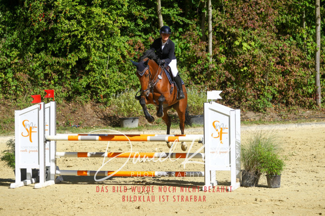 DKP43034 | Turniersportfotografie; Pferdefotografie; Dressurfotografie