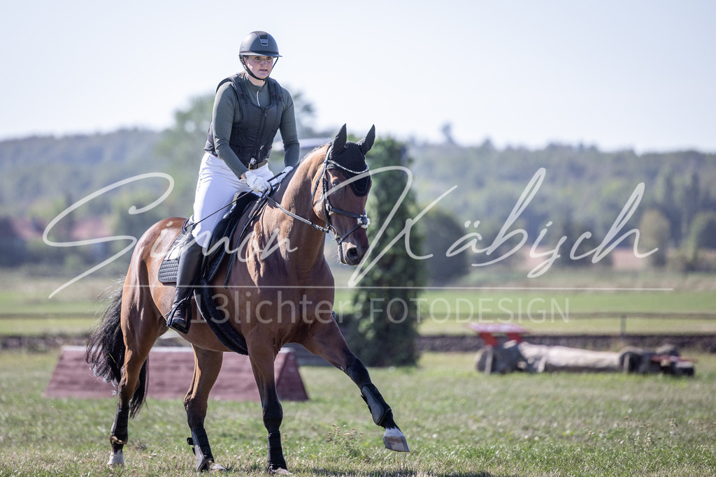 20260906-_3LI2411 | Tierfotografie Pferde, Hunde, Katzen, Haustiere.
Turnierfotografie Reitturniere, Reiten, Springreiten, Dressur in Hanau, dem Main-Kinzig-Kreis und dem Rhein-Main- Gebiet um Frankfurt