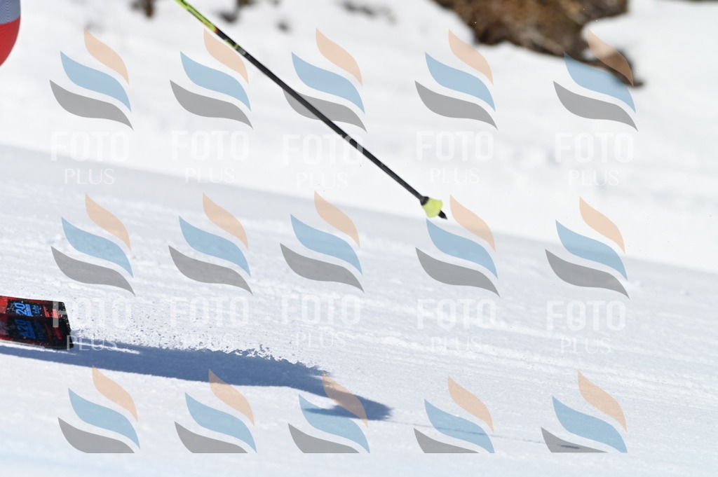 BGV_7887 | holidayphoto