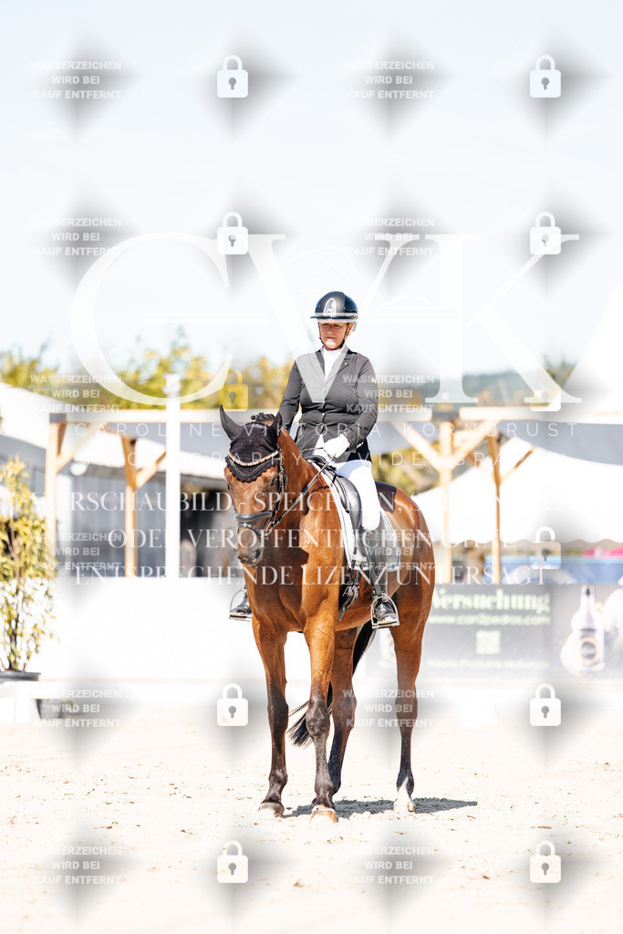 CK909118 | Turnierfotografie Pferdefotografie Trier Rheinland-Pfalz Pferdesport Reitsport Tierfotografie Sportfotografie Pferdevideo Pferdevideografie Equestrianvideography equestrianphotography  - Realisiert mit Pictrs.com