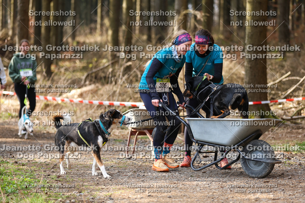 Dog Paparazzi - VCC26-635 | Dog Paparazzi Jeanette Grottendiek Fotografie & Videografie - Realisiert mit Pictrs.com