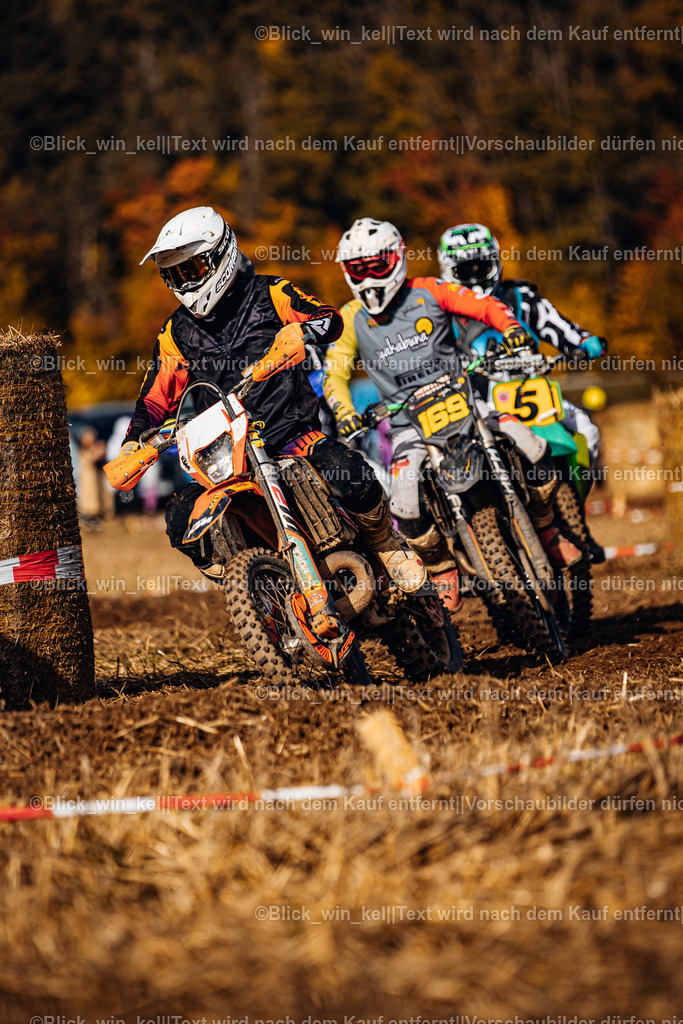 E68A8131 | blick_win_kel