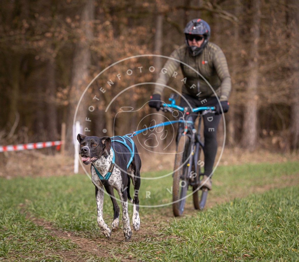 DV3A6147 | Hundefotografie, Tierfotograf, Pfotenfotografie, Fotoshooting Hund, Hunde Portrait, Hundesport, Hundeportraits, Heideshooting, Hunde, Sportfotograf, Hundefotograf, Turnierhundsport, THS,  - Realisiert mit Pictrs.com