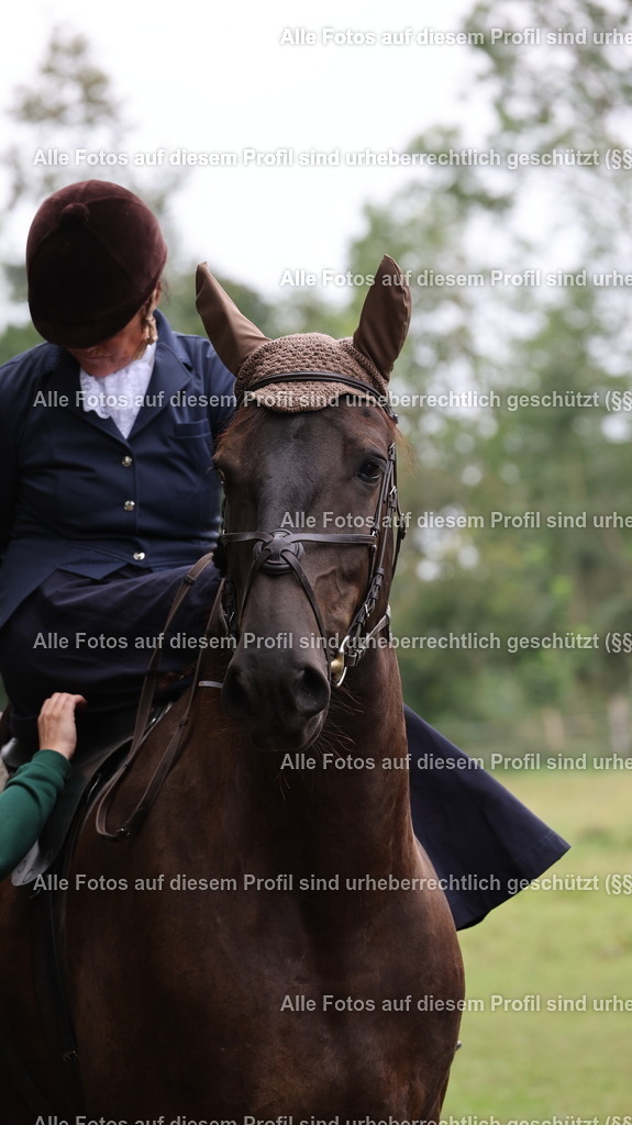 1P5A9110 | krollfotografie - Realisiert mit Pictrs.com