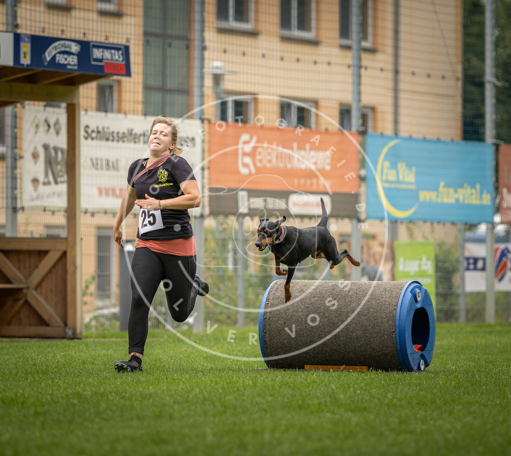 Pfotenfotografie_DV3A8576 | Hundefotografie, Tierfotograf, Pfotenfotografie, Fotoshooting Hund, Hunde Portrait, Hundesport, Hundeportraits, Heideshooting, Hunde, Sportfotograf, Hundefotograf, Turnierhundsport, THS,  - Realisiert mit Pictrs.com
