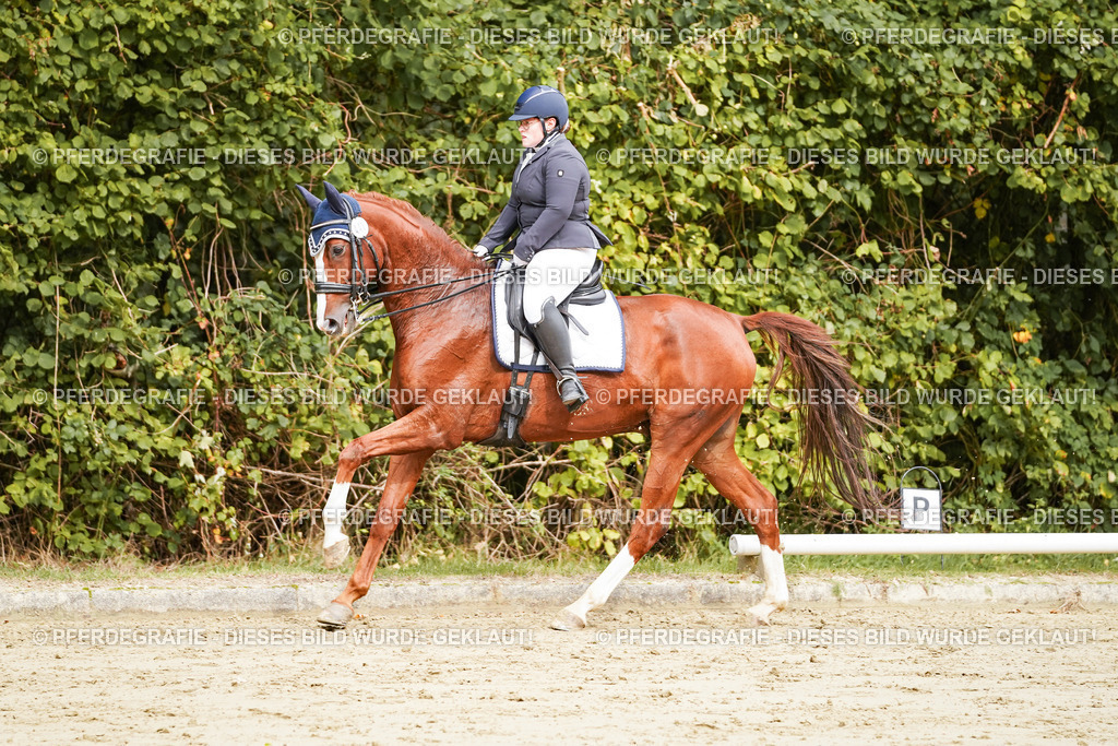 DSC03202 | Pferdegrafie