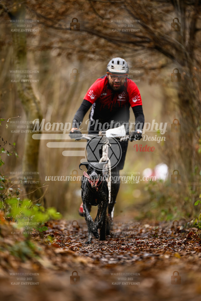 MompixPhotography_Eschau2024_DS1-12 | PayLife
