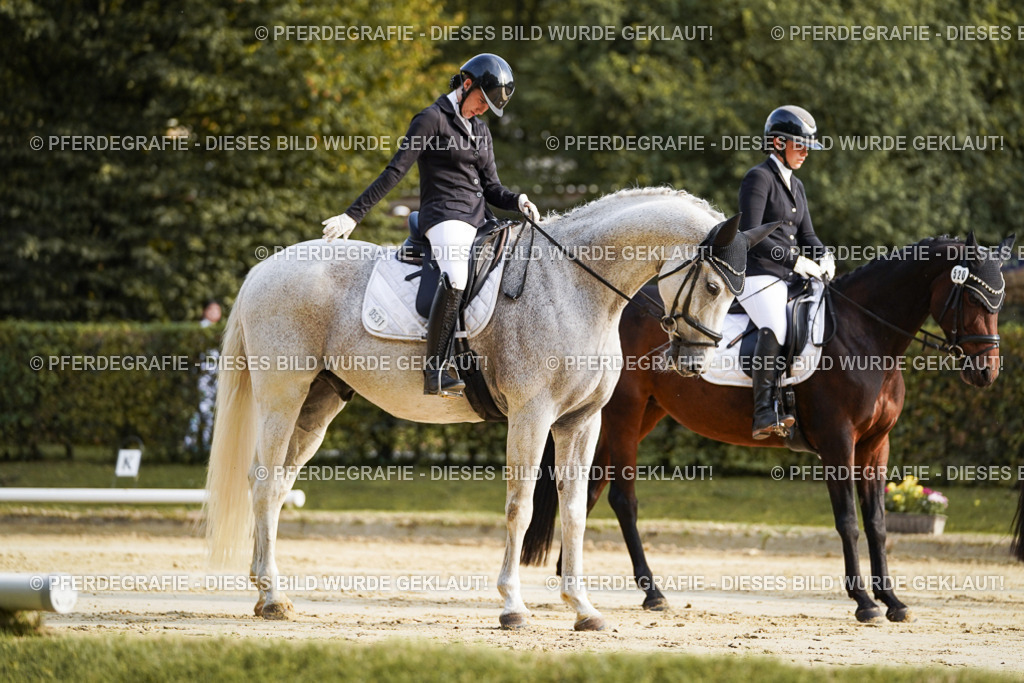 DSC05598 | Pferdegrafie