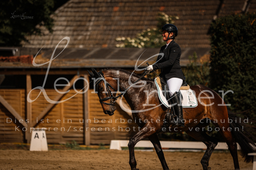 07.FrDrPA00362 | Leoni Ertmer Photography - Realisiert mit Pictrs.com