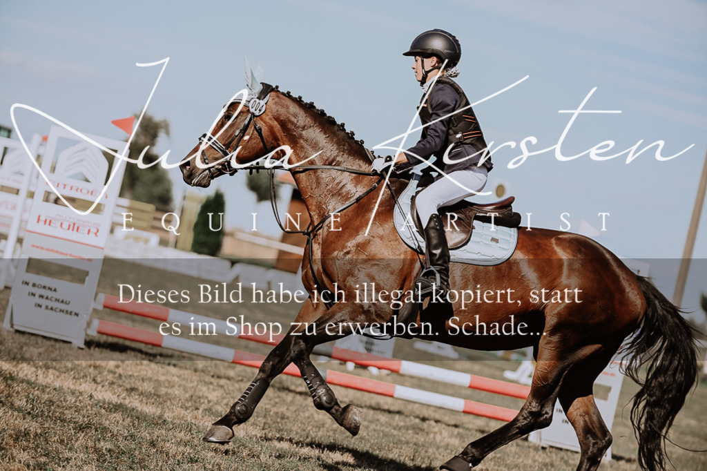 DSC_9421 | Pferde- und Turnierfotografie in Westsachsen. Pferdeportraits, Auftragszeichnungen und intuitive Kunst.