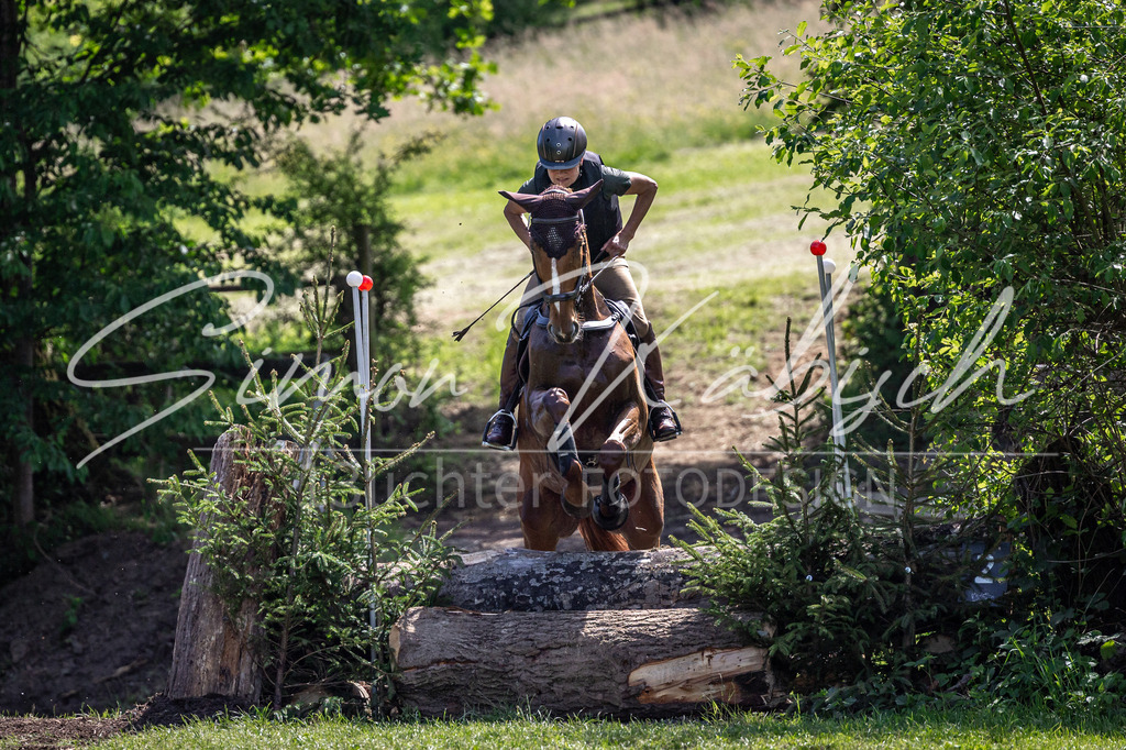 20260523-_3LI9008 | Tierfotografie Pferde, Hunde, Katzen, Haustiere.
Turnierfotografie Reitturniere, Reiten, Springreiten, Dressur in Hanau, dem Main-Kinzig-Kreis und dem Rhein-Main- Gebiet um Frankfurt