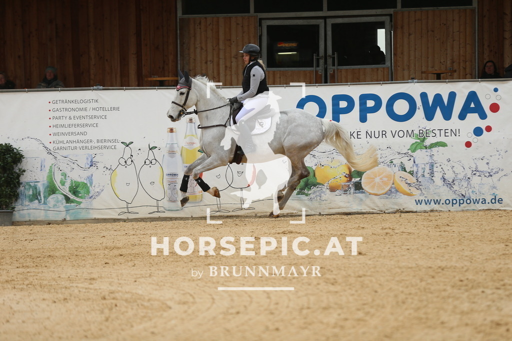 DL2Q5609 | Willkommen bei Brunnmayr - Design & Fotografie – Ihrem Spezialisten für Reitturniere und Pferdeveranstaltungen in Oberösterreich, Salzburg und Bayern! Seit über 17 Jahren sind wir leidenschaftlich dabei.