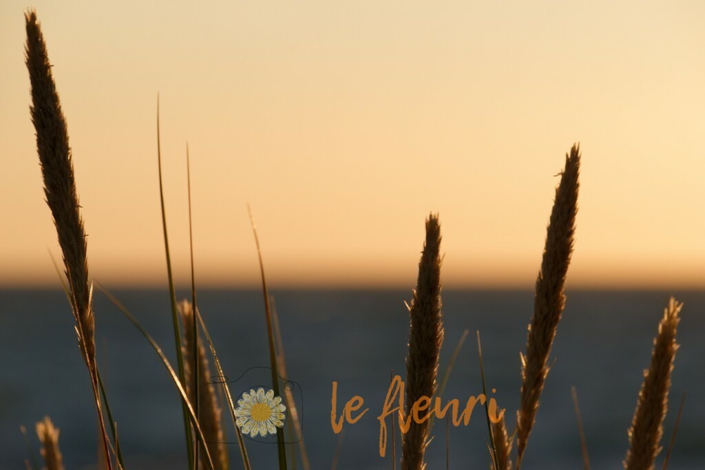 DSC_0110-NEF_DxO_HQ | Dies ist der Shop von Florian Blum - le fleuri. Langenthal, Bern, Schweiz. Sie können hier meine oder ihre eigenen Fotos als Fotoprodukte kaufen. Tassen, Schlüsselanhänger, Taschen etc. können Sie hier gestalten.  - Realisiert mit Pictrs.com