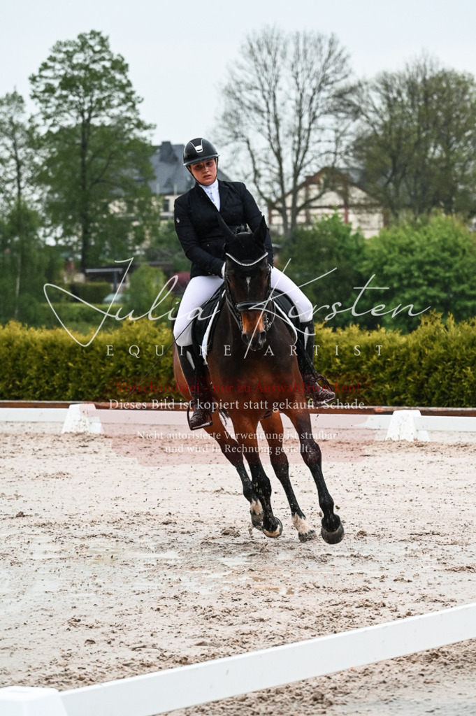 DSC_4551 | Pferde- und Turnierfotografie in Westsachsen. Pferdeportraits, Auftragszeichnungen und intuitive Kunst.