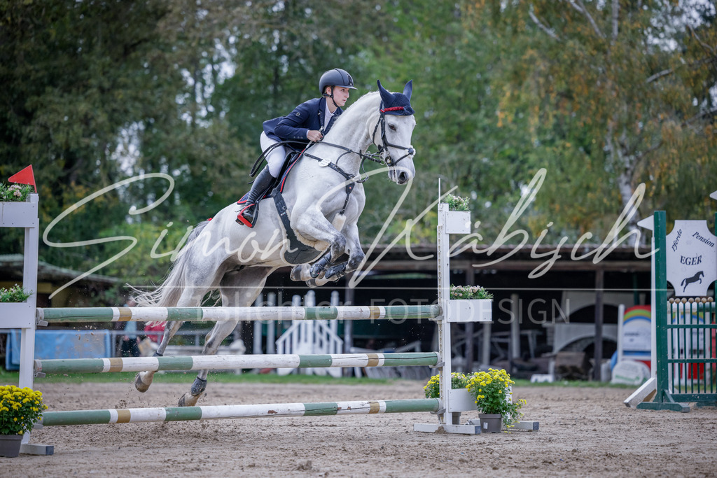 20251012-_3LI5127 | Tierfotografie Pferde, Hunde, Katzen, Haustiere.
Turnierfotografie Reitturniere, Reiten, Springreiten, Dressur in Hanau, dem Main-Kinzig-Kreis und dem Rhein-Main- Gebiet um Frankfurt