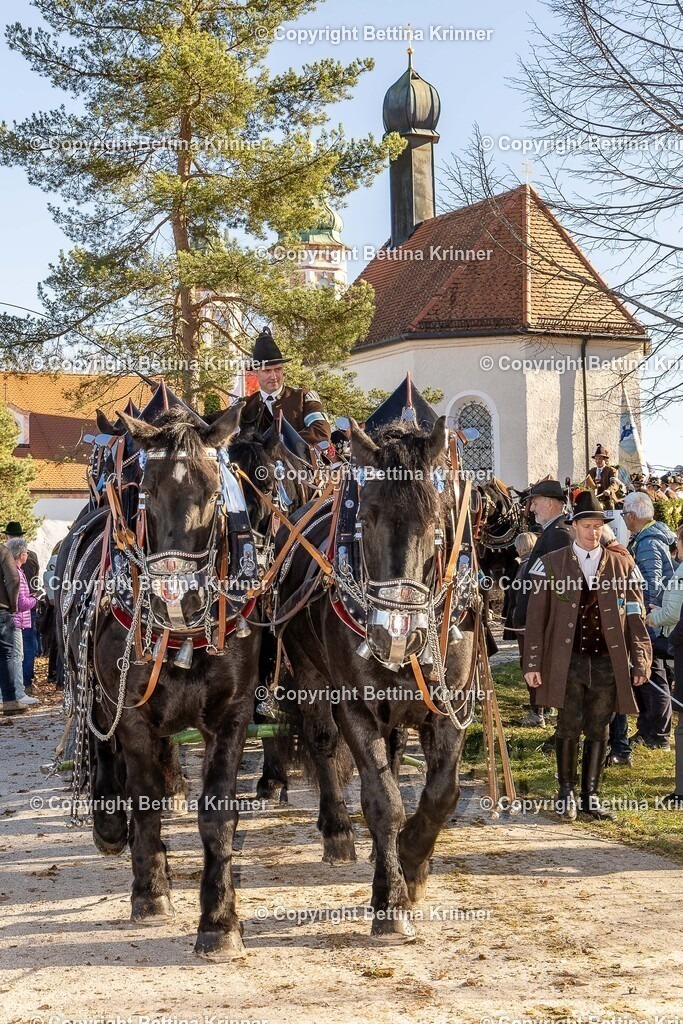 LBT25-1296 | foto-bettina-krinner - Realisiert mit Pictrs.com