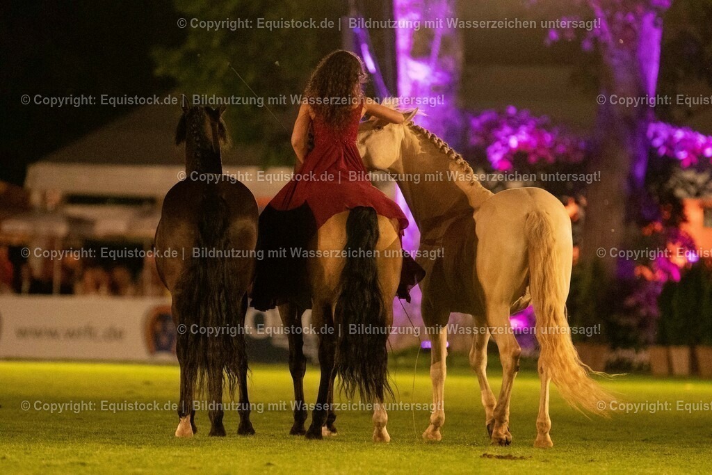 20230526_Pferdenacht_1473 | equistock
