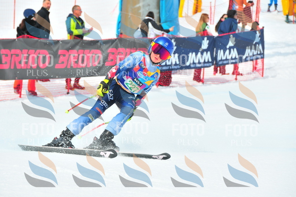 DSC_2105 | holidayphoto