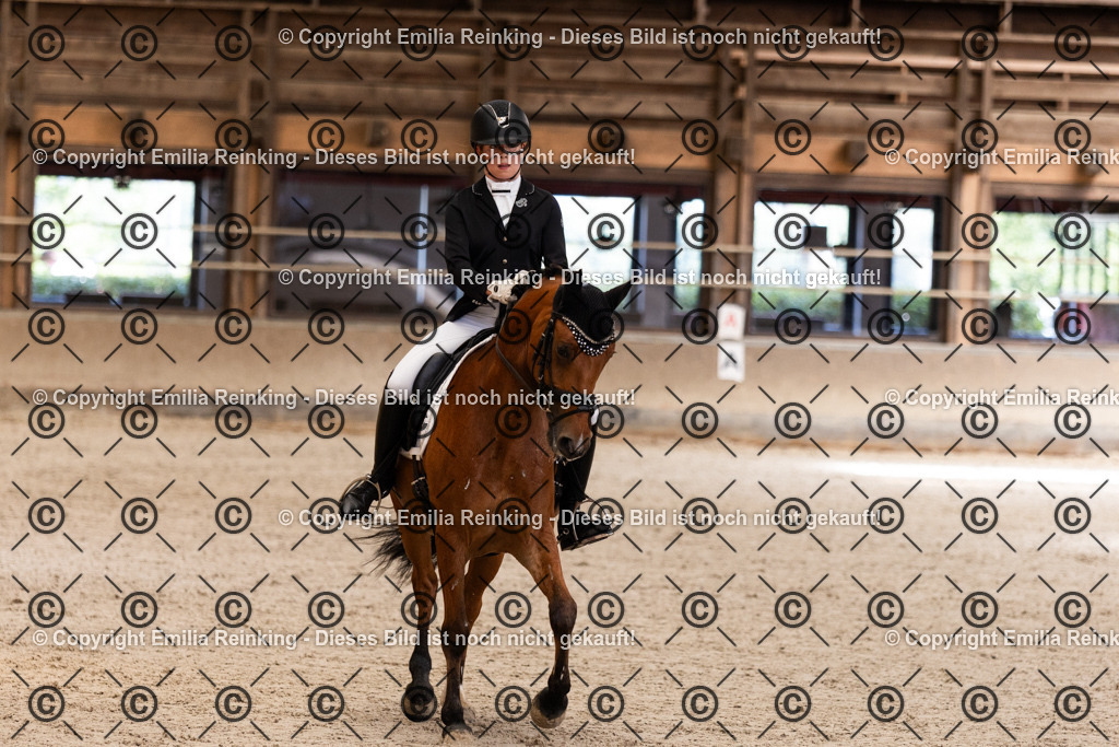 CL5A3912 | Emilia Reinking Fotografie - Realisiert mit Pictrs.com