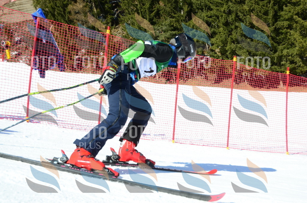 C6330 | holidayphoto