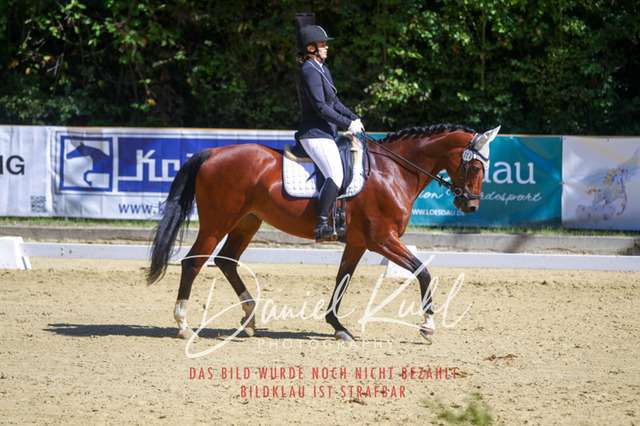 DKP42063 | Turniersportfotografie; Pferdefotografie; Dressurfotografie