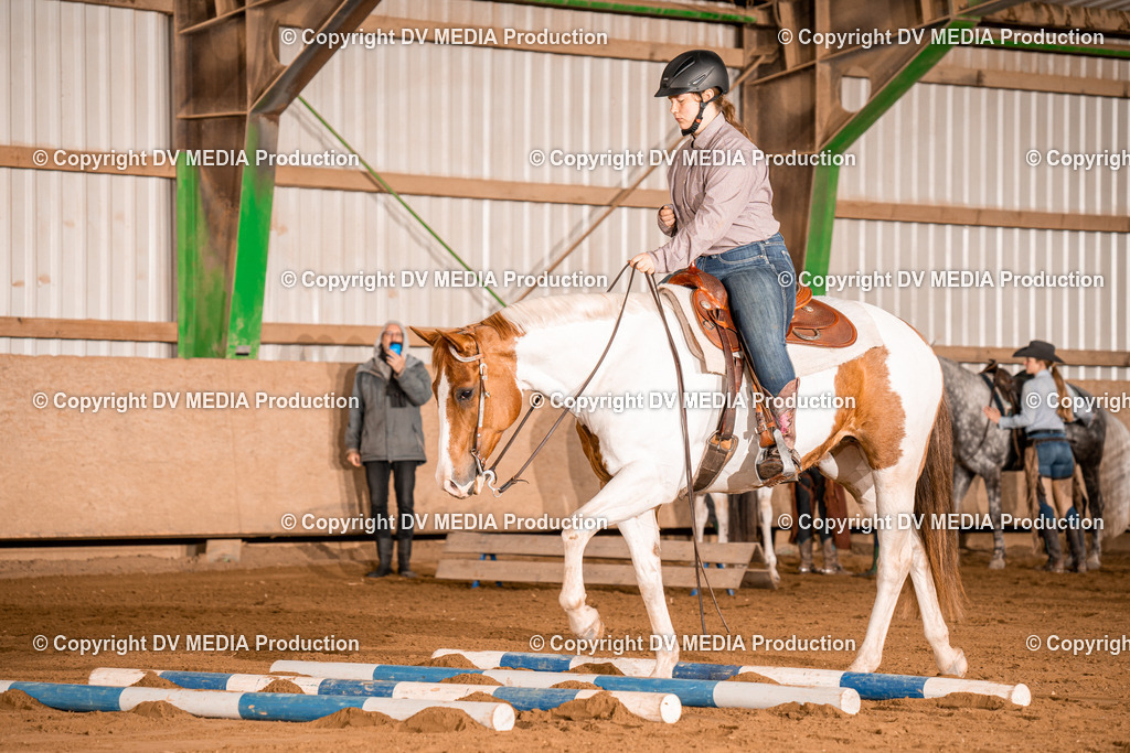 BA400276 | dv-media-shop - Realisiert mit Pictrs.com