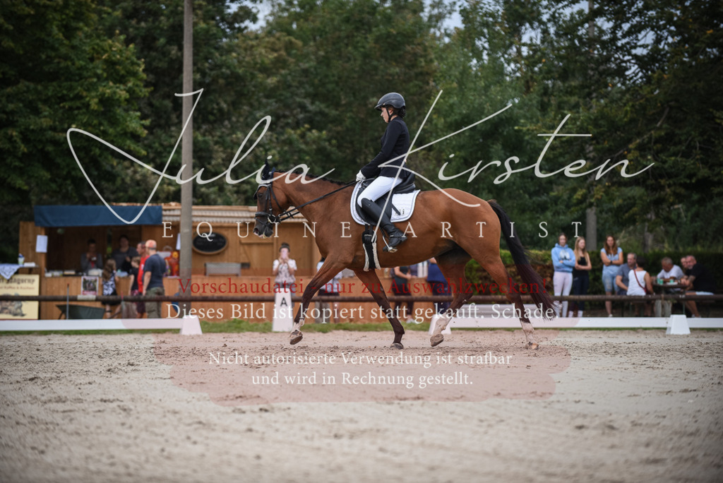 DSC_8411 | Pferde- und Turnierfotografie in Westsachsen. Pferdeportraits, Auftragszeichnungen und intuitive Kunst.