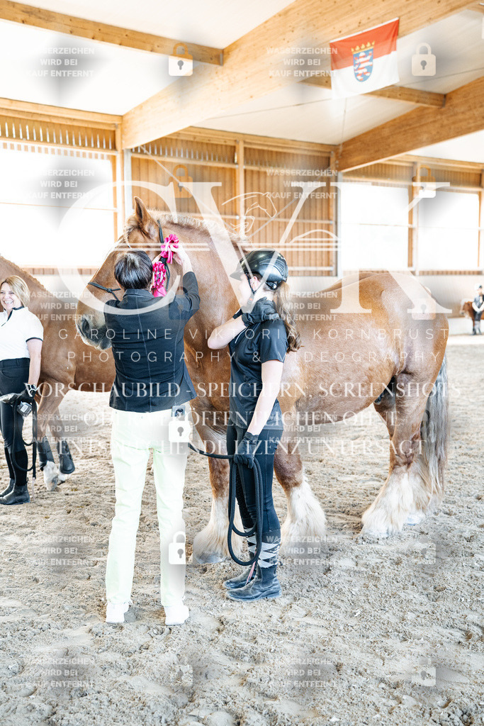 CK703180 | Turnierfotografie Pferdefotografie Trier Rheinland-Pfalz Pferdesport Reitsport Tierfotografie Sportfotografie Pferdevideo Pferdevideografie Equestrianvideography equestrianphotography  - Realisiert mit Pictrs.com