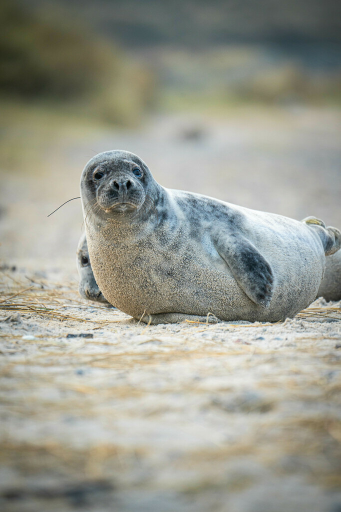 D10C949A-25CC-4D86-B99F-11D794287E7F | <meta name="keywords" content="Bergbilder, Hochzeitsfotografie, Actionshootings, Fotografiearbeiten, Berglandschaften, Naturfotografie">

 - Realisiert mit Pictrs.com
