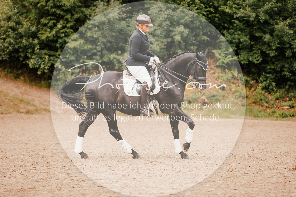 3I6A7899 | Stimmungsvolle Portraits und Reitsportfotografie im Ruhrgebiet und im Münsterland.

Pferdefotografie, Hundefotografie, Tierfotografie, Reportagen, Portraits von Tier und Mensch, Turnierfotografie in Bochum, Recklinghausen, Marl, Haltern am See, Dülmen.. - Realisiert mit Pictrs.com
