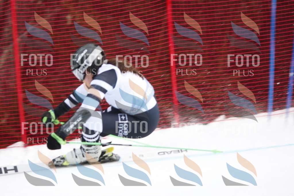 D4787 | holidayphoto