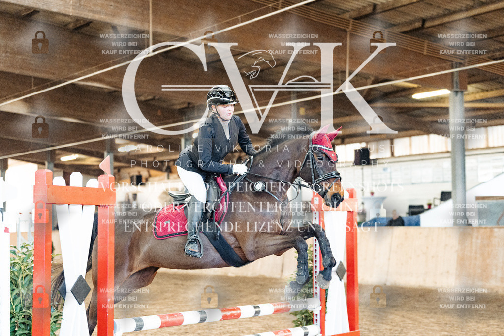 CK903767 | Turnierfotografie Pferdefotografie Trier Rheinland-Pfalz Pferdesport Reitsport Tierfotografie Sportfotografie Pferdevideo Pferdevideografie Equestrianvideography equestrianphotography  - Realized with Pictrs.com