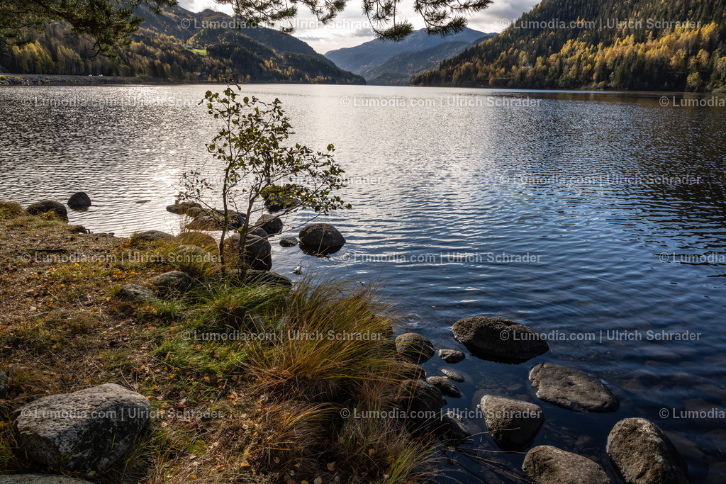 10047-10093 - Am Norefjord - Norwegen | Stockfoto und Bilderpool mit Bildmaterial aus Deutschland, dem Harz, Halberstadt, Quedlinburg, Wernigerode und weltweit. Qualitativ hochwertige und professionelle Fotos anschauen und kaufen. - Realisiert mit Pictrs.com